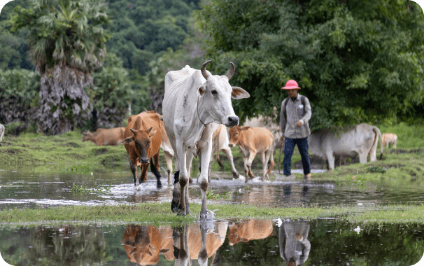 Water Infrastructure