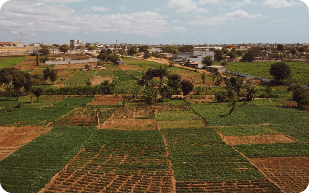 Water Infrastructure